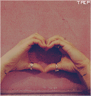 zng70og3utkdc334tz6d