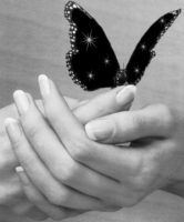 butterfly1
